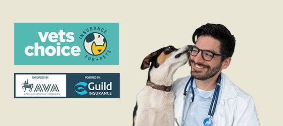 Vets Choice AVA and Guild Insurance Logos